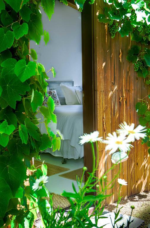 La Atrevida Bed and Breakfast José Ignacio Eksteriør billede